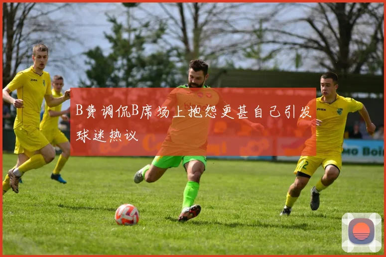 B费调侃B席场上抱怨更甚自己引发球迷热议