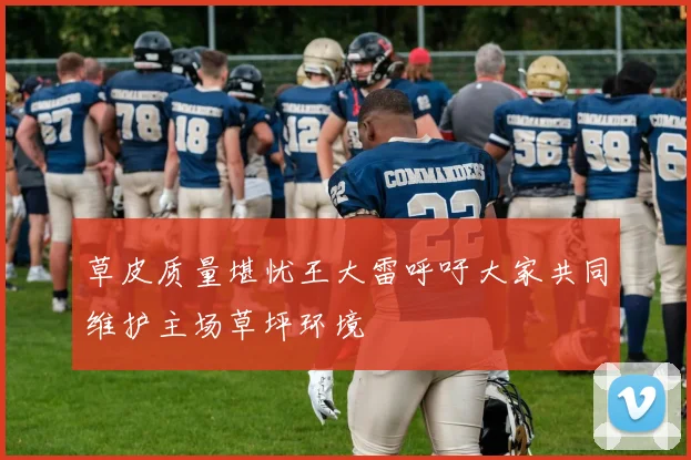 草皮质量堪忧王大雷呼吁大家共同维护主场草坪环境