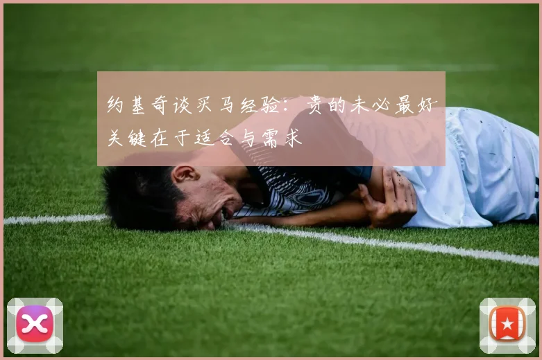 约基奇谈买马经验：贵的未必最好关键在于适合与需求