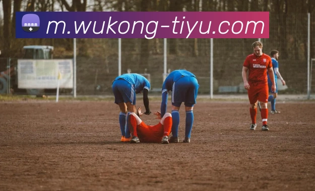 奖项证书