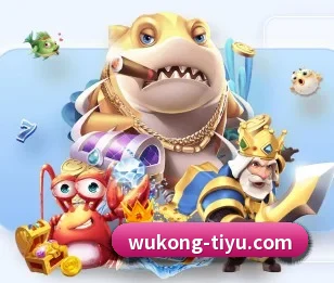 关于我们 - 体育资讯内容服务 | WukongSports